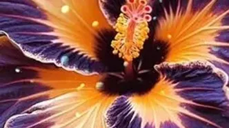 فال ابجد امروز 27 اردیبهشت + فیلم