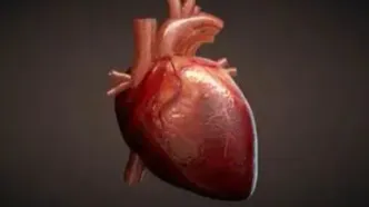 قلب می‌تواند ۴۵ سال پیرتر از سن فرد باشد