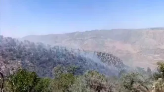 ارتفاعات جنگلی گیلانغرب طعمه حریق شد