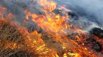 آتش‌سوزی در ارتفاعات کبیرکوه دره شهر به دلیل وزش بادهای شدید + ویدیو