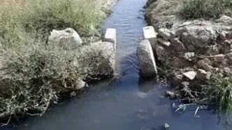 اینجا در بیخ گوش شهر بزرگ تهران  بیماری ها را می‌کارند!/ تصاویر
