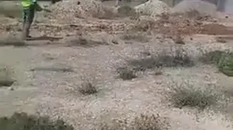 هواپیمای حجاج لیبی از باند خارج شد