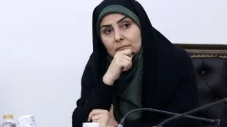 گناه همه سازمان‌ها و وزارتخانه‌ها را گردن فرزانه صادق انداخته‌اند