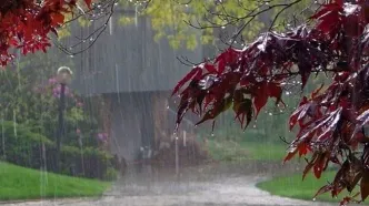 پیش بینی رگبار باران و رعد و برق
