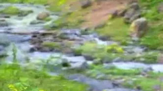 فیلم طبیعت بکر فشکور مازندران