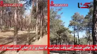 پاسخ به یک ابهام / چه شد که پارک‌های سرخه‌حصار و چیتگر خشک شدند؟