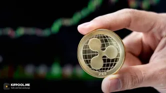 انباشت بیش از ۴ میلیون ریپل (XRP)؛ نهنگ‌ها دست‌به‌ماشه برای شلیک قیمت شده‌اند
