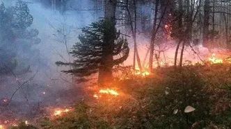 اعزام یک فروند بالگرد برای مهار آتش‌سوزی جنگل‌های فارس
