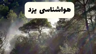 هواشناسی فوری یزد ۲۴ ساعت آینده | پیش بینی وضعیت آب و هوا یزد فردا شنبه ۱۳ اردیبهشت ماه ۱۴۰۴