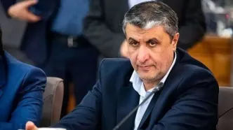 اسلامی: ایران فعالیت پنهانی هسته‌ای نداشته است