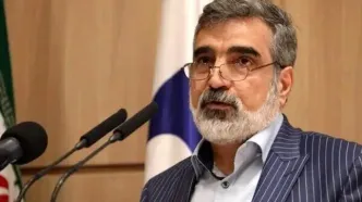ایران تنها کشوری نیست که غنی‌سازی می‌کند و در عین حال سلاح هسته‌ای ندارد