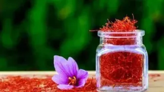 قیمت زعفران اعلام شد؛ قاچاق سالانه بیش از ۱۰۰ تن زعفران