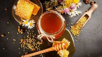 امروز روز جهانی زنبور عسل است/ ۱۰ فایده عسل برای سلامتی