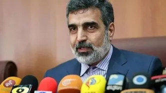 کمالوندی: برخورداری کامل از فناوری صلح‌آمیز هسته‌ای، حق ایران است