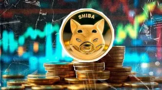 تکرار رالی سال ۲۰۲۱ برای شیبا اینو؟ نهنگ‌ها ۵۳۰ تریلیون SHIB انباشت کردند!+ نمودار