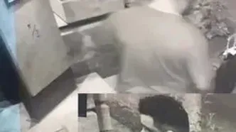 فیلم صحنه سرقت مسلحانه از زن تهرانی ! / این دزد مسلح را می شناسید ؟! / به پلیس خبر دهید + عکس چهره باز