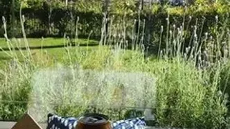 سفره رنگارنگ ایرانی بهاره رهنما در دبی / خانم بازیگر به غذای اصیل پناه برد! + فیلم