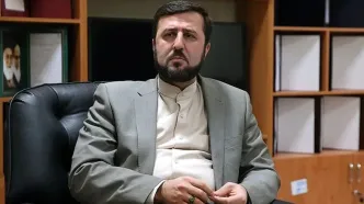 گفتگو غریب آبادی با سفیر چین در تهران در خصوص آخرین وضعیت مذاکرات جاری