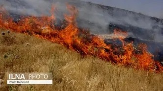 شعله‌ور شدن مجدد آتش‌سوزی گسترده در مراتع سالند دزفول