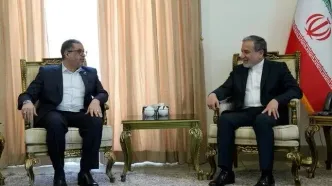 عراقچی بر تداوم حمایت‌های ایران از مقاومت و ملت فلسطین تاکید کرد