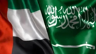 پشت پرده دیدار رئیس امارات و وزیر دفاع عربستان