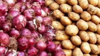 توقف صادرات سیب زمینی و پیاز