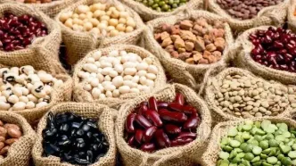 قیمت لوبیا به ۵۰۰ هزار تومان رسید؛ چرا حبوبات لاکچری شد؟