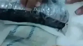 فیلم بازداشت  گربه که قاچاقچی مواد مخدر ! / گربه  زندان لو رفت !