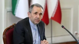روایت تخت روانچی از محدودیت‌های احتمالی بر غنی‌سازی ایران
