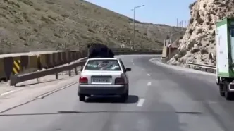 توقیف خودرو با زنی روی سقف