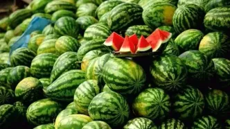 غلظت نیترات در هندوانه ایرانی کمتر از ۱۰ میلی گرم است