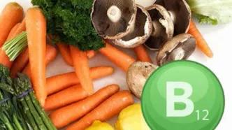 منابع گیاهی ویتامین های B12 برای گیاه خواران