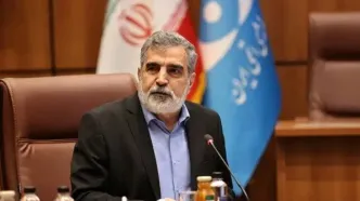 برخورداری کامل از فناوری صلح‌آمیز هسته‌ای، حق ایران است