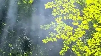 فال و طالع روزانه 28 اردیبهشت + فیلم