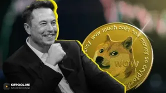 طرح دوج کوین (DOGE) ایلان ماسک برای نجات اقتصاد آمریکا از رکود در بحبوحه نوسانات بیت‌کوین