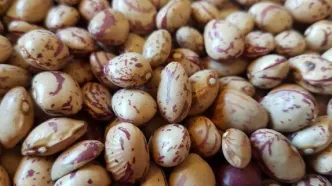 طلسم قیمت لوبیا شکسته می‌شود؟