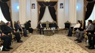 وزیر کشور پاکستان وارد مشهد شد