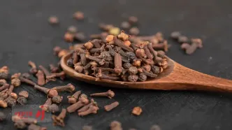 تقویت قوای جنسی آقایان با میخک؛ بررسی تأثیر واقعی و روش مصرف