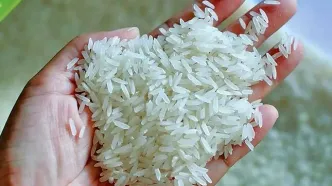 قیمت برنج هندی به‌شدت ارزان شد