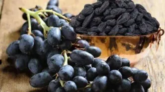 ۲۱ دانه جادویی؛ چرا باید هر روز مویز بخوریم؟