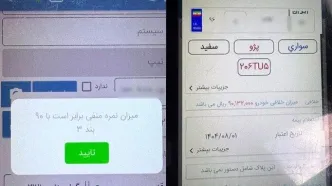توقیف پژو ۲۰۶ رکوردار نمره منفی با ۹ میلیون تومان جریمه/ ویدئو
