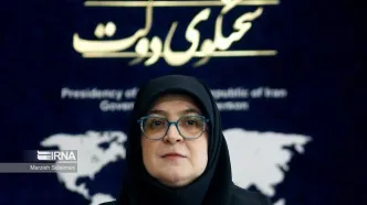 سخنگوی دولت: واگذاری اختیارات به استانداران در حال بررسی است