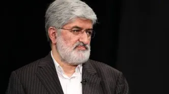 علی مطهری: تعلل در برخورد با زورگیران فلسفه مجازات را زیر سؤال می‌برد