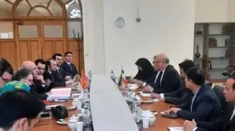 نشست مدیران کل وزارت خارجه‌های ایران و ترکیه برگزار شد