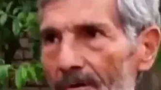 وقتی همه‌ی میوه‌های یه باغ روی یک درخت است!