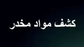 14 کیلو روانگردان از زن و شوهر موادفروش کشف شد/ جزئیات