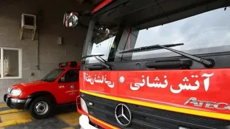 هشدار فوری آتش نشانی این شهر درباره جولان مارها
