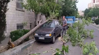 ۶۵ مصدوم و ۶ کشته بر اثر طوفان و صاعقه در کشور
