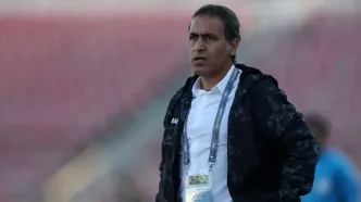 واکنش مهدوی کیا به صعود هامبورگ: ما برگشتیم!