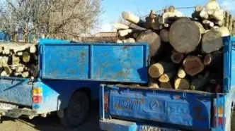 سه نفر از قاچاقچیان چوب دستگیر شدند